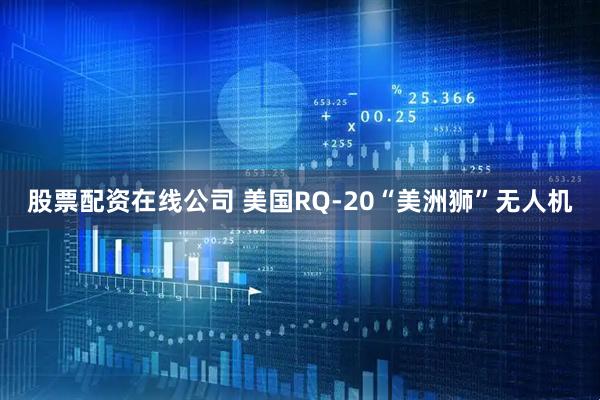 股票配资在线公司 美国RQ-20“美洲狮”无人机
