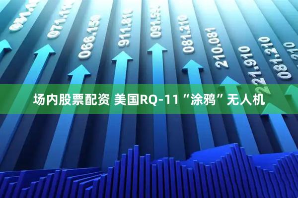 场内股票配资 美国RQ-11“涂鸦”无人机