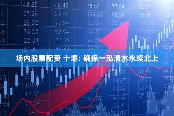 场内股票配资 十堰: 确保一泓清水永续北上