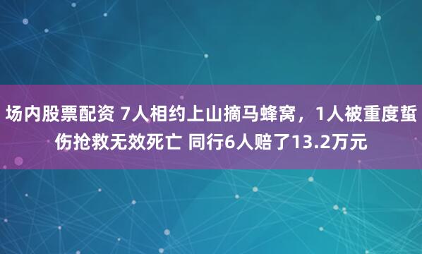 场内股票配资 7人相约上山摘马蜂窝，1人被重度蜇伤抢救无效死亡 同行6人赔了13.2万元